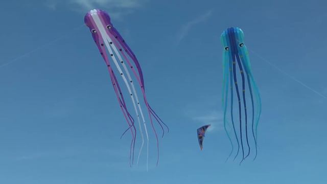 Oktopus Kite am Strand von St.Peter-Ording смотреть онлайн