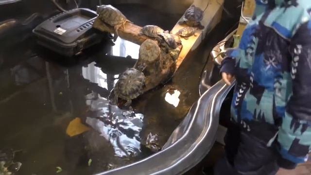 ДДИ г Кадников Вологодской области в гостях у Храма Николая Угодника Пос Лебяжье