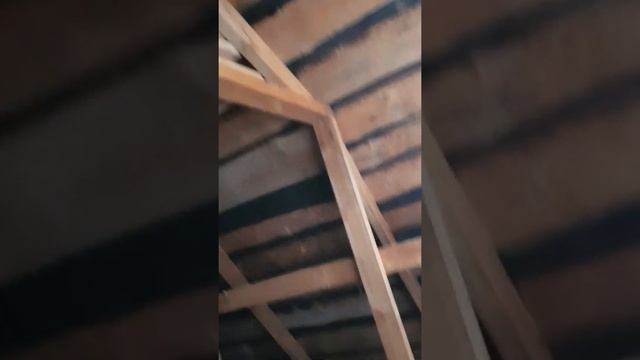 Дача внутри смотреть онлайн