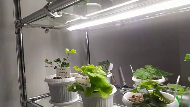 Стильный стеллаж для растений. Подробный разбор конструкции. смотреть онлайн