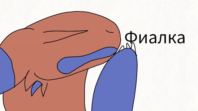 я и Фиалка смотреть онлайн