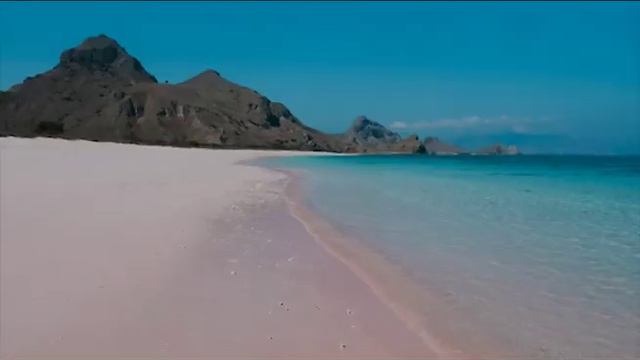 Taman Nasional Komodo 2019 смотреть онлайн