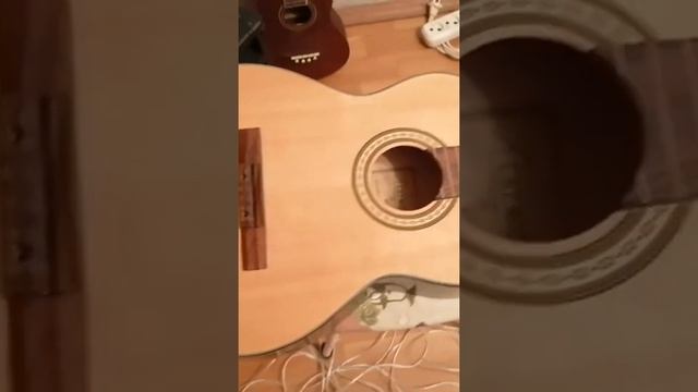 Ремонт гитары в домашних условиях смотреть онлайн