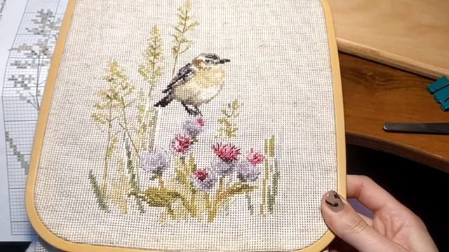 #27 Пока, ВЫШИВАЛЬНЫЙ сентябрь! ФИНИШ Алиса и СТАРТ Чаривна Мыть, покупки смотреть онлайн