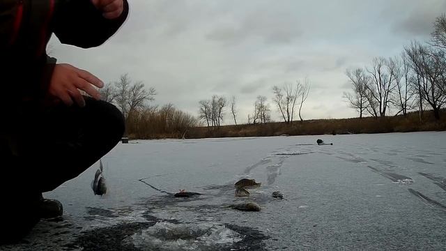 Ловля окуня по первому льду 2018-2019 смотреть онлайн