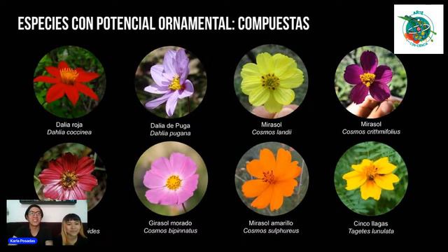 "Plantas nativas en tu jardín: Fomentando la biodiversidad a través de la flora local" смотреть онлайн