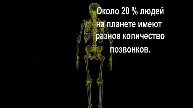 Кратко и Познавательно о Человеческом Теле в Цифрах смотреть онлайн