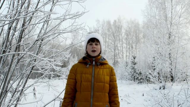 Алина Сергиенко, стихотворение " Волшебница Зима" смотреть онлайн