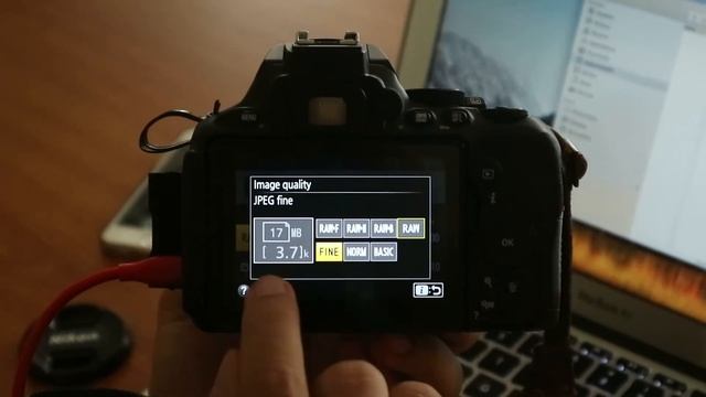 Tethered Shooting with Nikon D5600 and DSLRDashboard App смотреть онлайн