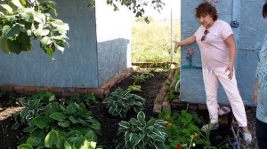 Красивый цветочный сад и ландшафт своими руками