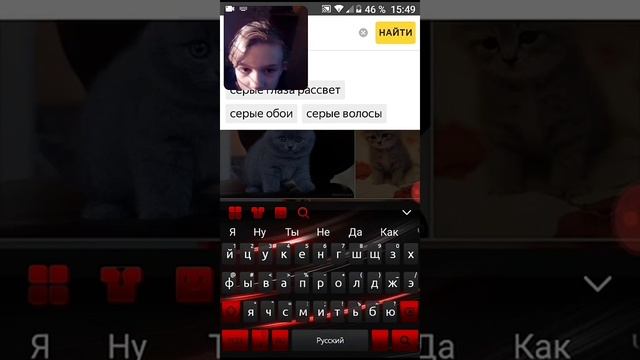 Реакция на вислоухого и + серо белого кота= ≤❤ смотреть онлайн