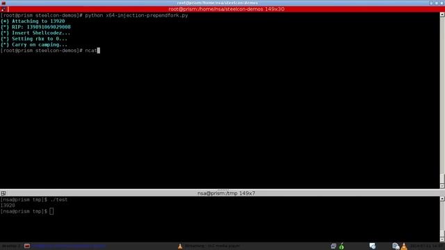 Steelcon 2014 - Process Injection with Python - x64 Injection Demo (Fork Prepender) смотреть онлайн