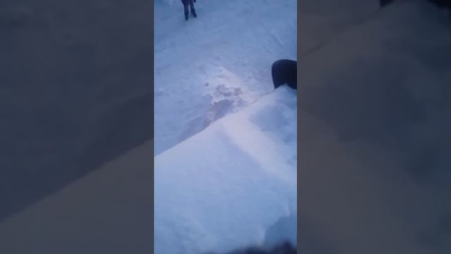 Прыгают с 3 этажа смотреть онлайн