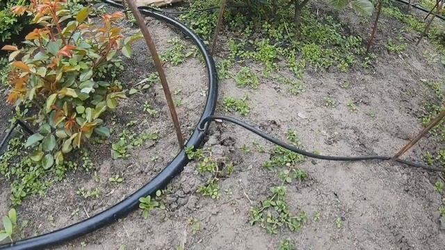 БЮДЖЕТНЫЙ ПОЛИВ СВОИМИ РУКАМИ (часть 1) смотреть онлайн