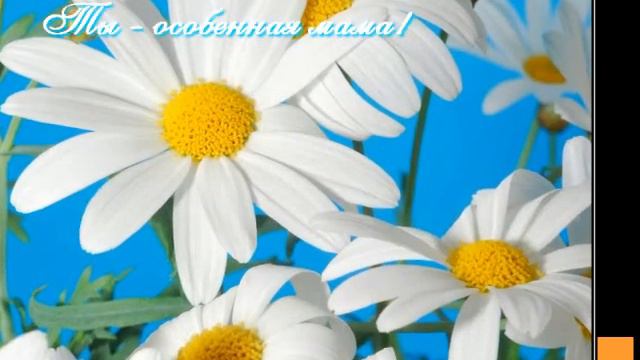 Happy Birthday.avi смотреть онлайн