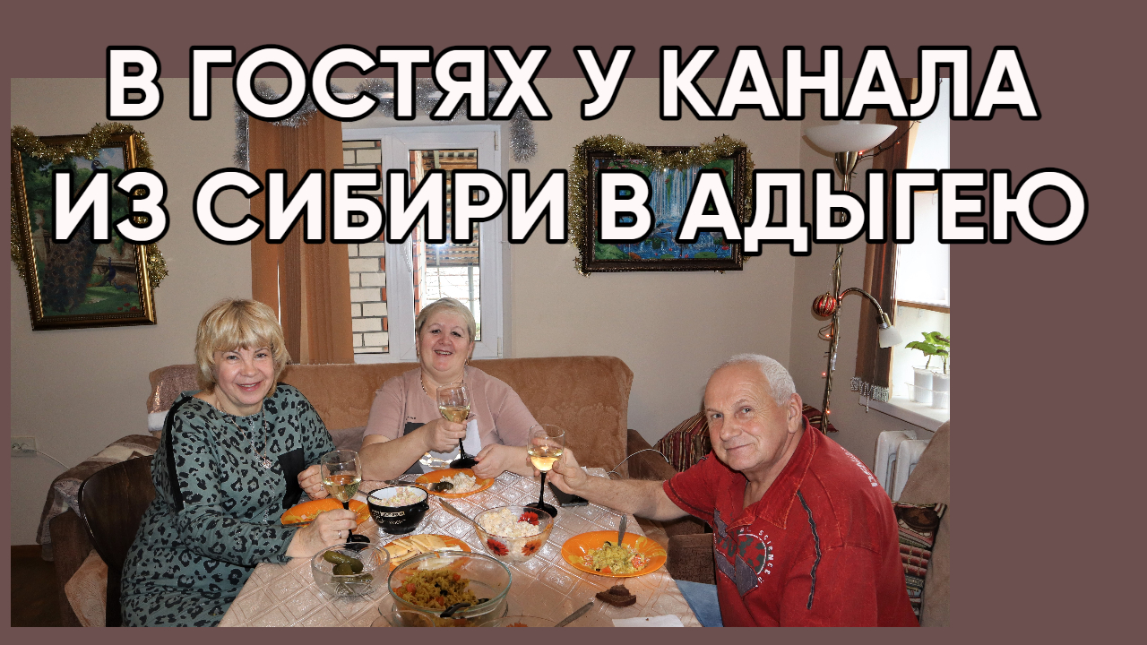 219. Встречаем Рождество с весёлыми друзьями/Переехали на юг и не пожалели смотреть онлайн