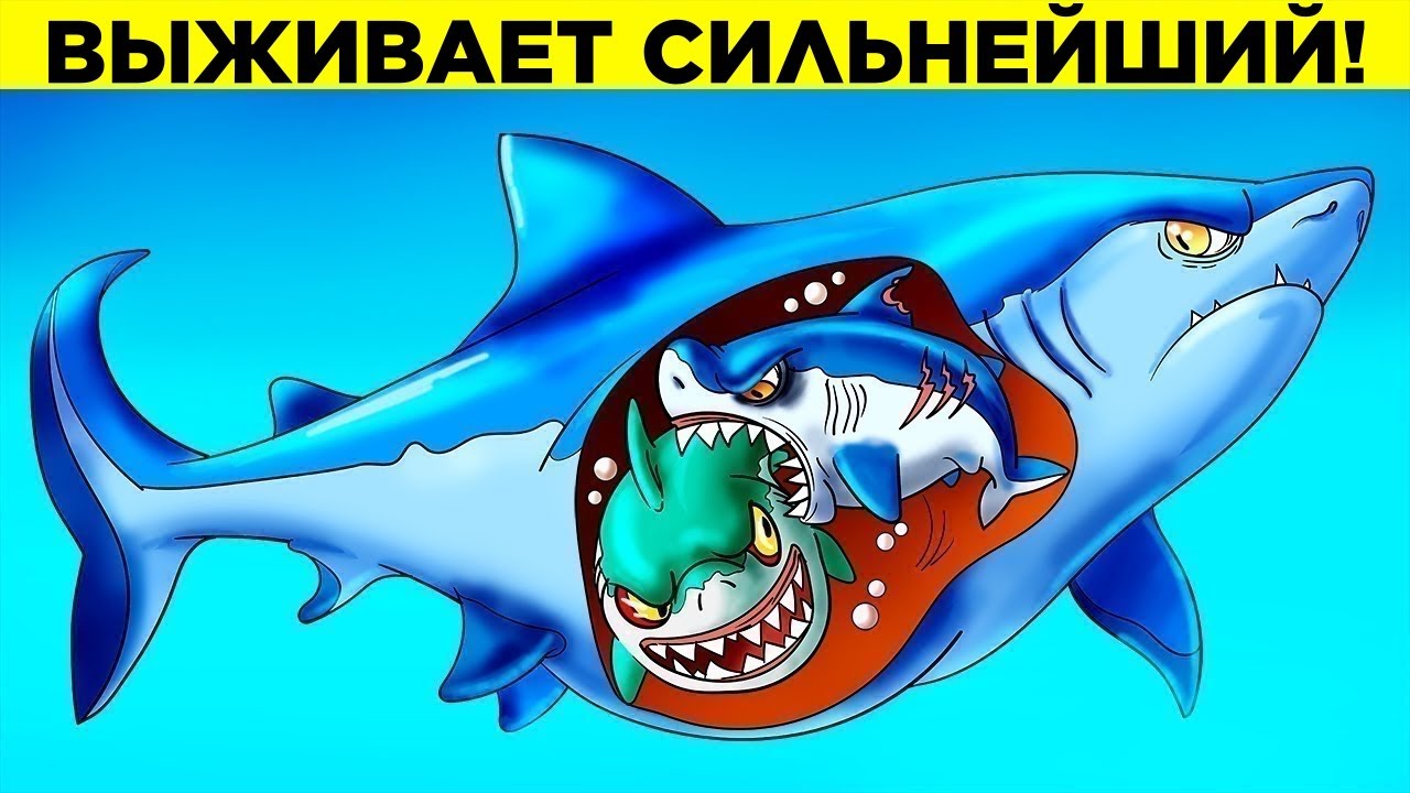 Худшие Родители Среди Животных смотреть онлайн
