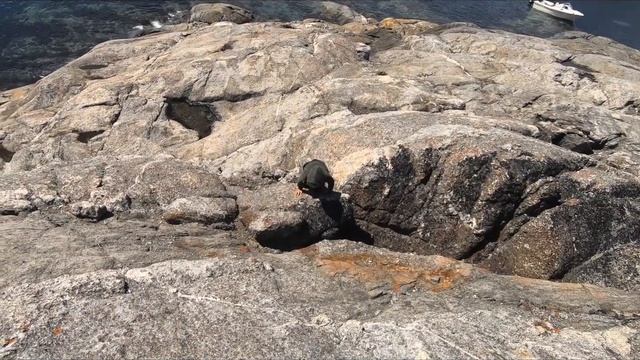 A Day On the Water - Polar Bear, Icebergs, Wild Birds Eggs in Nunatsiavut смотреть онлайн