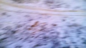 БАГГИ _R481_  Клинцы #10 (Зима 2016 _кашачьи горы_ за дачами)