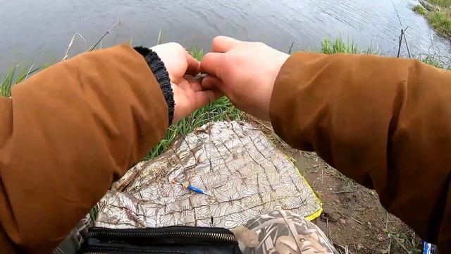 Щука на живца.Калужская и Московская область.Рыбалка на хищника .Щука на удочку смотреть онлайн