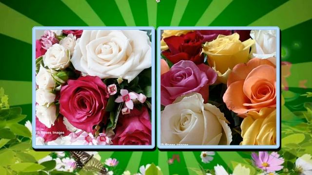 Цветы для вас любимые подружки... смотреть онлайн