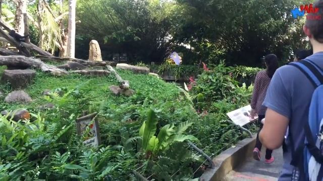 Зоопарк в Сингапуре.MyWay