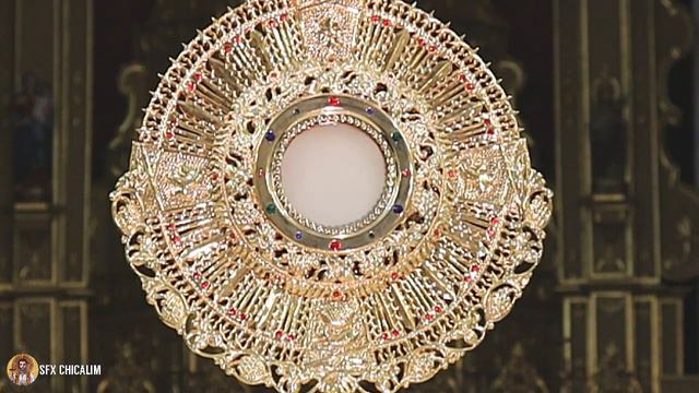 Blessed Sacrament Adoration - Jesus Not Only Sows The Seed He'll Pull The Thorns смотреть онлайн