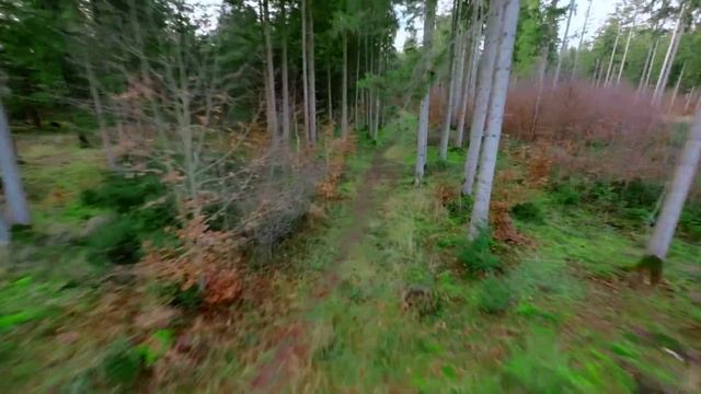 DJI AVATA Stunning FPV drone footage in the Forest смотреть онлайн