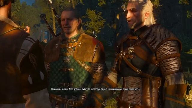 The Witcher 3 Wild Hunt GPU Gtx 570 test CPU q8200 2.84 ghz 60 FPS test смотреть онлайн