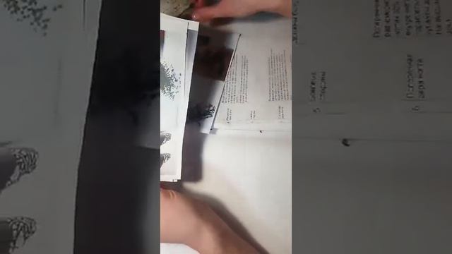 Номинация ХРУСТАЛЬНЫЙ ФРЕНЧ СпикерСерветник Виктория смотреть онлайн