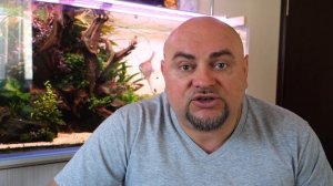 Аквариум. Добрые советы новичку. Аэрация в аквариуме.