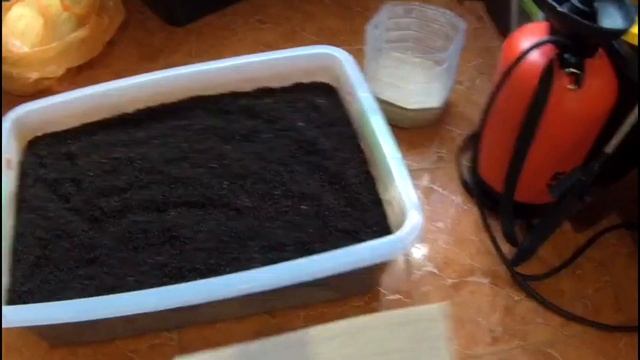 РАЗВЕДЕНИЕ ЧЕРВЕЙ ОТ А до Я. ПОЛЕЗНОСТЬ БИОГУМУСА смотреть онлайн