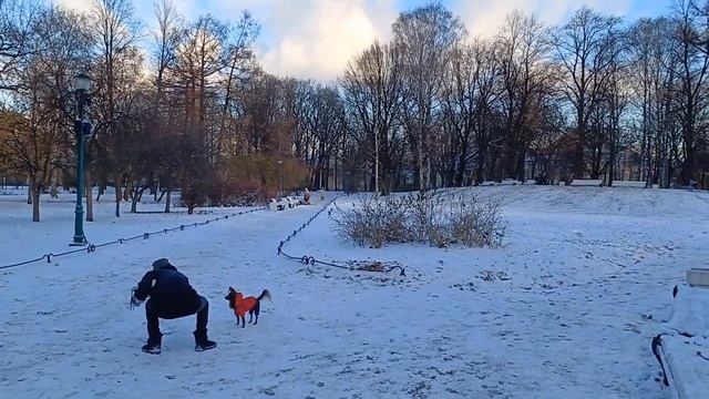 БОЛТАЛКА в ТАВРИЧЕСКОМ САДУ САНКТ-ПЕТЕРБУРГА смотреть онлайн