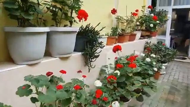 Адлер,отель УЮТ.