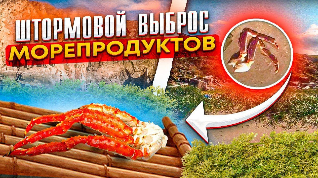 штормовой выброс морепродуктов смотреть онлайн