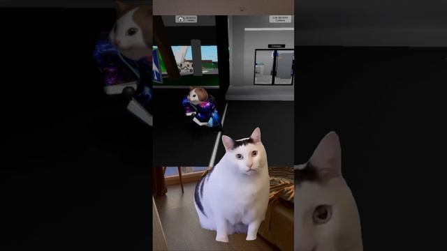 Оценка моих видео смотреть онлайн