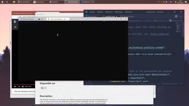 Tutoriel Windows : Le nouveau terminal Windows смотреть онлайн
