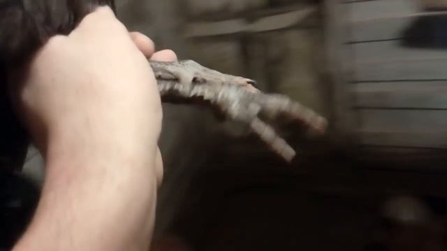 Цыплята 2 месяца вес, Мараны и другие куры смотреть онлайн