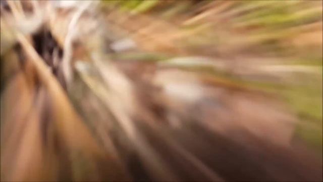 Swedish Meatballs and a BioLite BaseCamp Stove смотреть онлайн