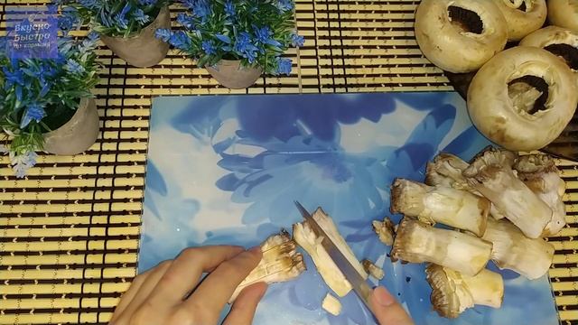 Фотография Природы и Ландшафтов