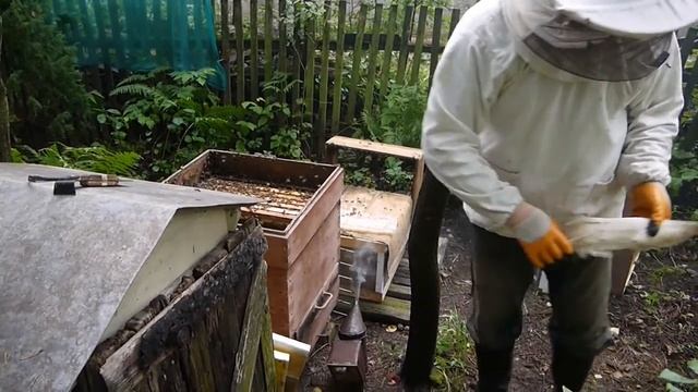 Пасека на садовом участке , как мы под руководством КЭПа собирали мед 2016 г. смотреть онлайн
