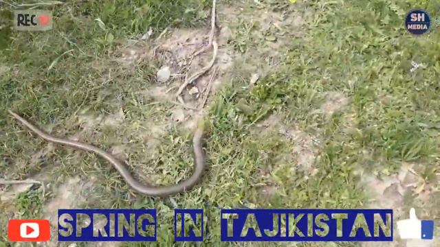 Сайругашт дар кӯҳистони н.Фархор (HD) смотреть онлайн