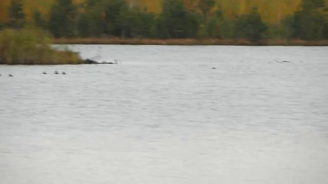 Вне зоны доступа... смотреть онлайн