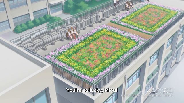 Our love has always been 10 centimeters apart Trailer смотреть онлайн