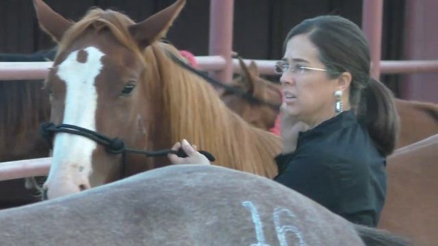 Horse Shopping @ 2019 Return To The Remuda Sale смотреть онлайн