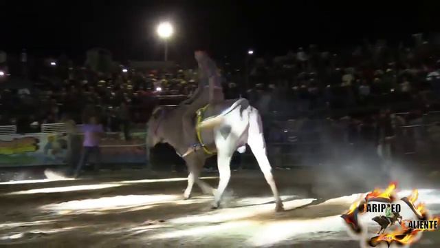 "Cree En Ti Y Todo Sera Posible"🔥Mis Mejores Montas Pequeño Guerrero de San Miguel Aztatla.Oax🤠 смотреть онлайн