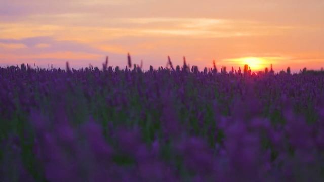 Солнечное Затмение в Скорпионе 25 Октября 2022 года смотреть онлайн