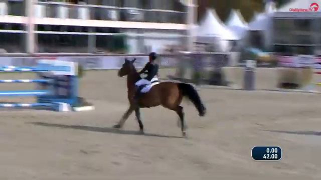 Janne Friederike Meyer-Zimmermann - Messi van`t Ruytershof - BEMER Riders Tour смотреть онлайн