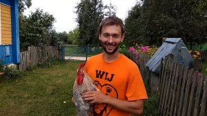 Мажу отработкой столбы, новый петух, бой петухов, обычные будни семьи в деревне, из города в деревн