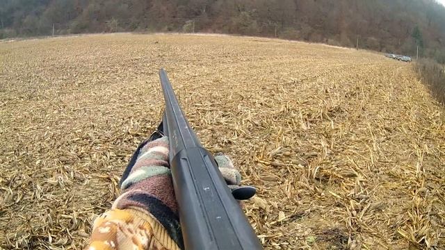 Полювання на кабана смотреть онлайн